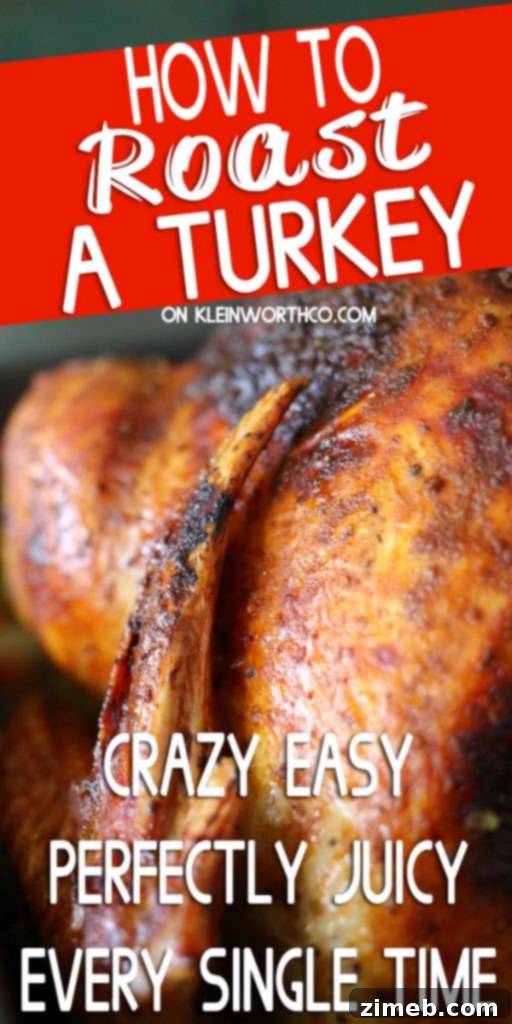 Mastering the Perfect Roast Turkey 17 How to Roast a Turkey