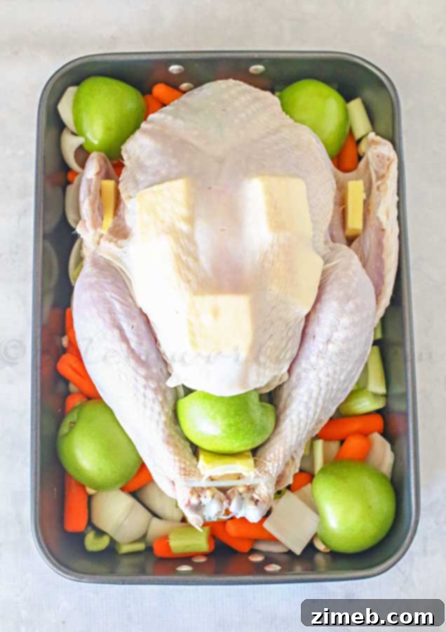 Mastering the Perfect Roast Turkey 3 How to Roast a Turkey