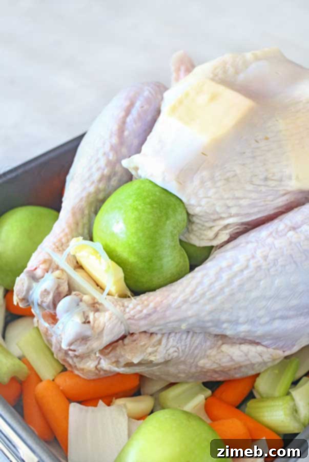 Mastering the Perfect Roast Turkey 4 How to Roast a Turkey