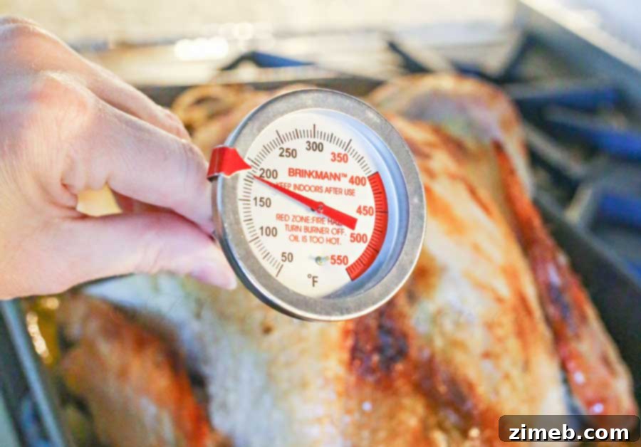Mastering the Perfect Roast Turkey 6 How to Roast a Turkey