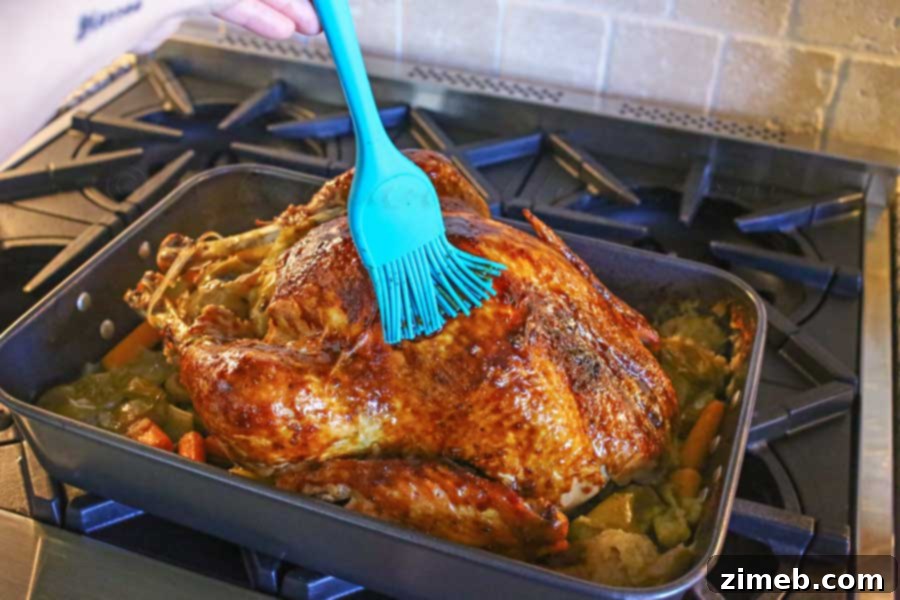 Mastering the Perfect Roast Turkey 7 How to Roast a Turkey