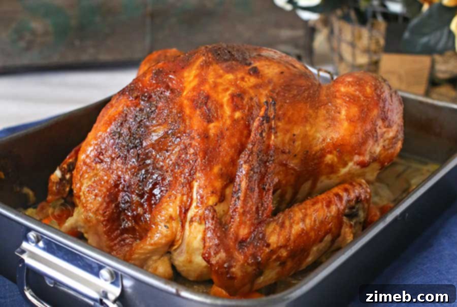 Mastering the Perfect Roast Turkey 8 How to Roast a Turkey
