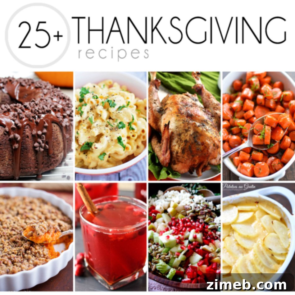 25+ Thanksgiving Recipes to get you ready for the big day! Everything from the turkey to the sides to dessert and drinks!