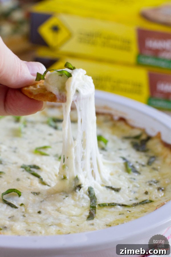 A smooth and creamy White Cheese Dip (queso blanco) in a serving bowl, garnished with cilantro.