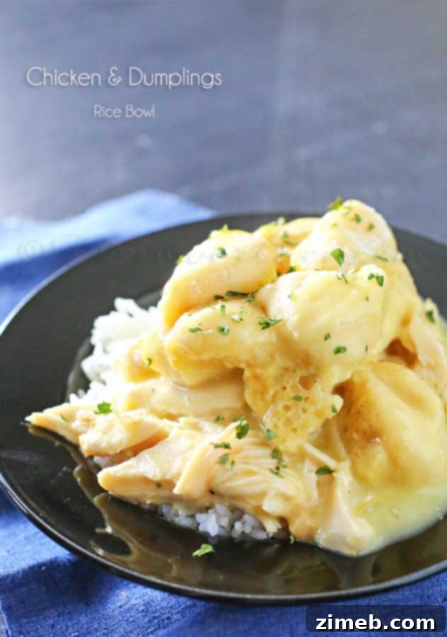 Week 17: Simple Dinner Solutions 16 Chicken & Dumplings Rice Bowl comforting recipe