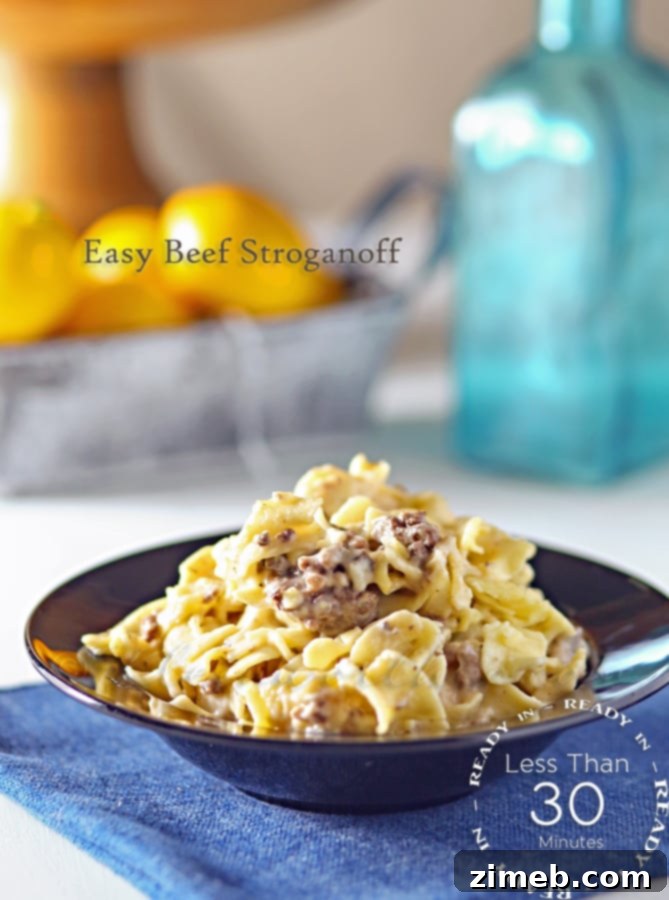 Easy Beef Stroganoff quick family dinner