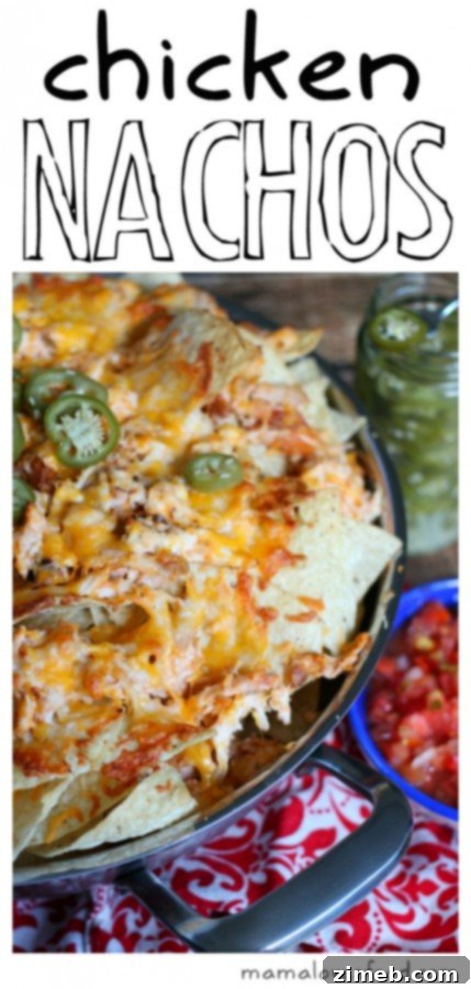 Week 17: Simple Dinner Solutions 8 Easy Chicken Nachos recipe for family