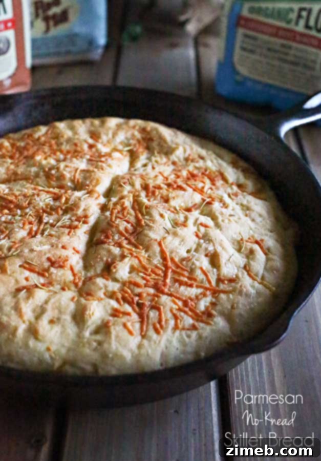 Skillet-Baked No-Knead Parmesan Loaf 7 Parmesan No-Knead Skillet Bread