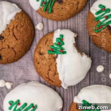 Dreamy White Fudge 9 White Chocolate Dipped Ginger Cookies