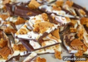 Gingerbread Snap Bark 9 Gingerbread Cookie Bark recipe image