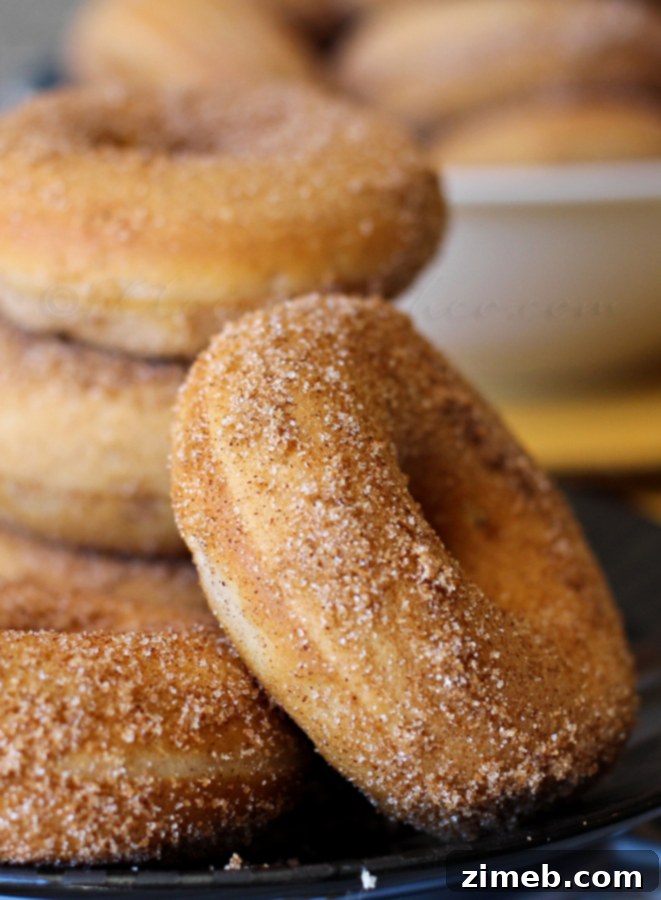 Churro Donuts