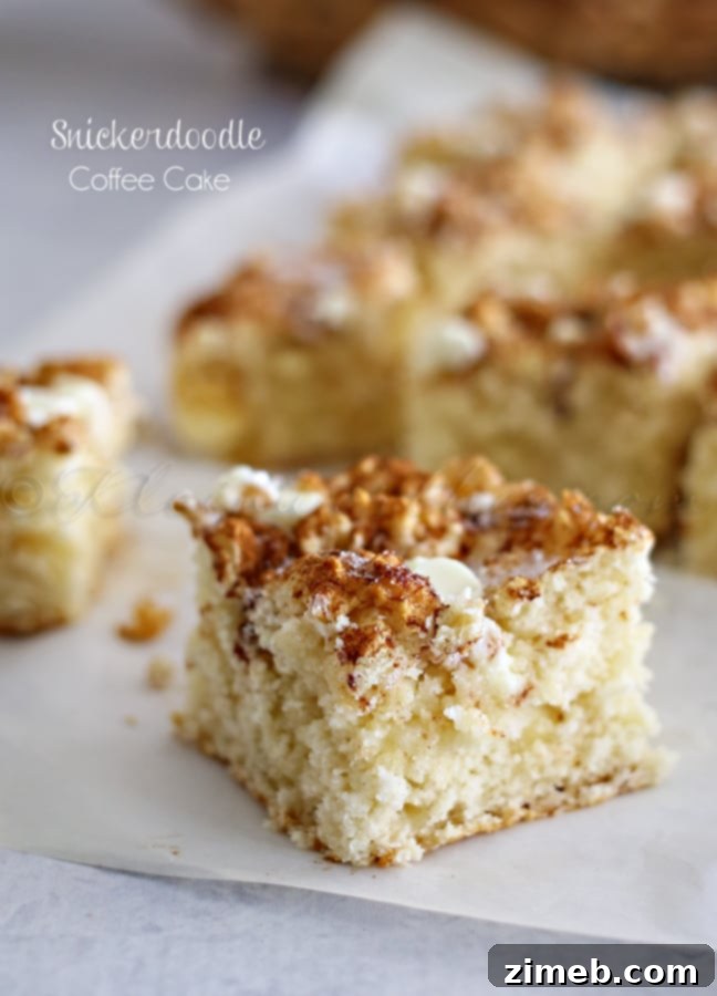 Snickerdoodle Coffee Cake