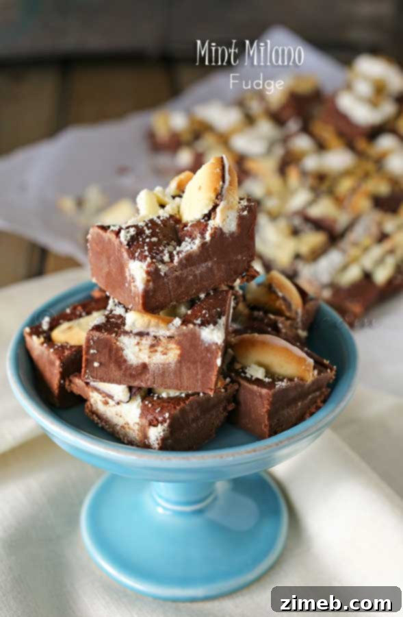 Midnight Mint Cookie Indulgence 5 Mint Milano Fudge