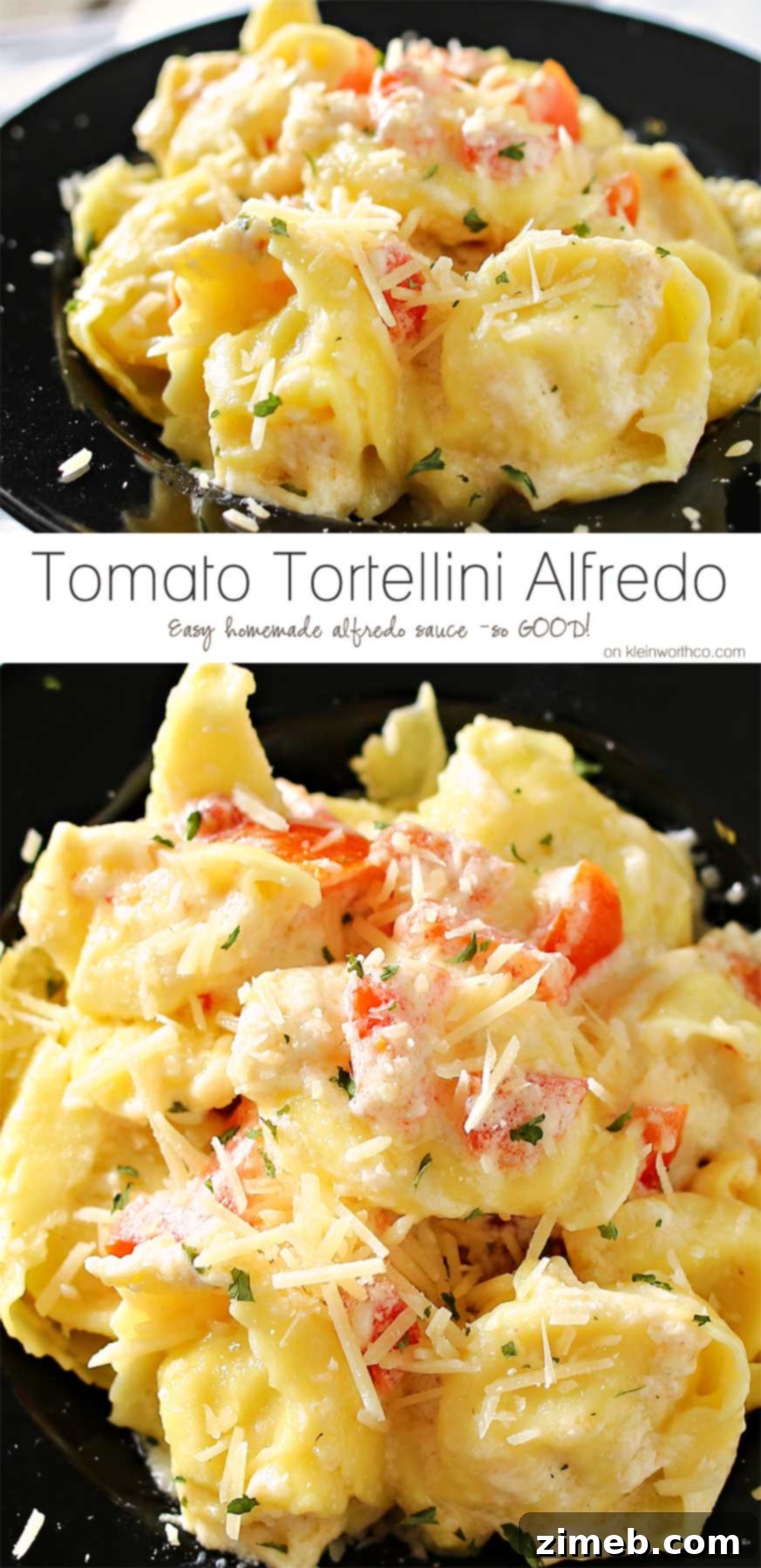 Creamy Tomato Tortellini Alfredo 2 A vibrant bowl of Tomato Tortellini Alfredo, featuring creamy homemade Alfredo sauce, fresh diced tomatoes, and plump tortellini, garnished with fresh basil. This easy family dinner is ready in about 20 minutes and promises a delicious, satisfying meal.