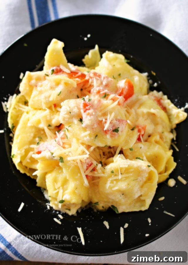 Creamy Tomato Tortellini Alfredo 3 A close-up of Tomato Tortellini Alfredo in a white bowl, showcasing the creamy Alfredo sauce clinging to the tortellini, with visible bits of fresh tomato and green herbs. This easy weeknight meal is both satisfying and quick to prepare.