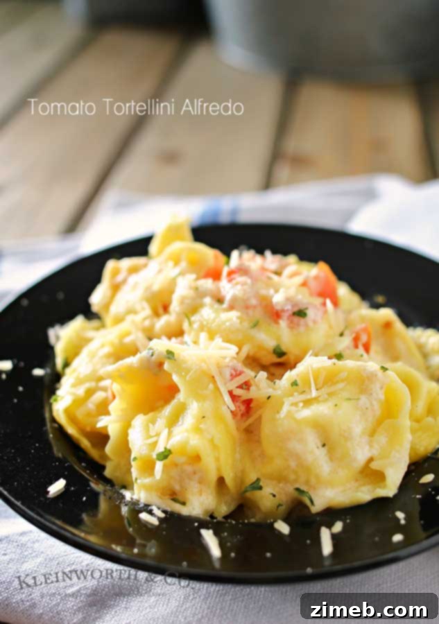 Creamy Tomato Tortellini Alfredo 5 A serving of Tomato Tortellini Alfredo, garnished with fresh basil, showcasing the vibrant colors and creamy texture of this quick and easy pasta dish. Ideal for a delicious and fast family dinner.
