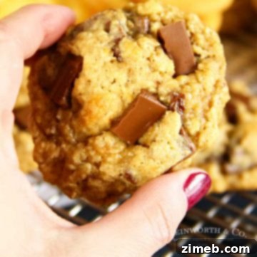 How to make Chewy RITZ Cracker Oatmeal Cookies