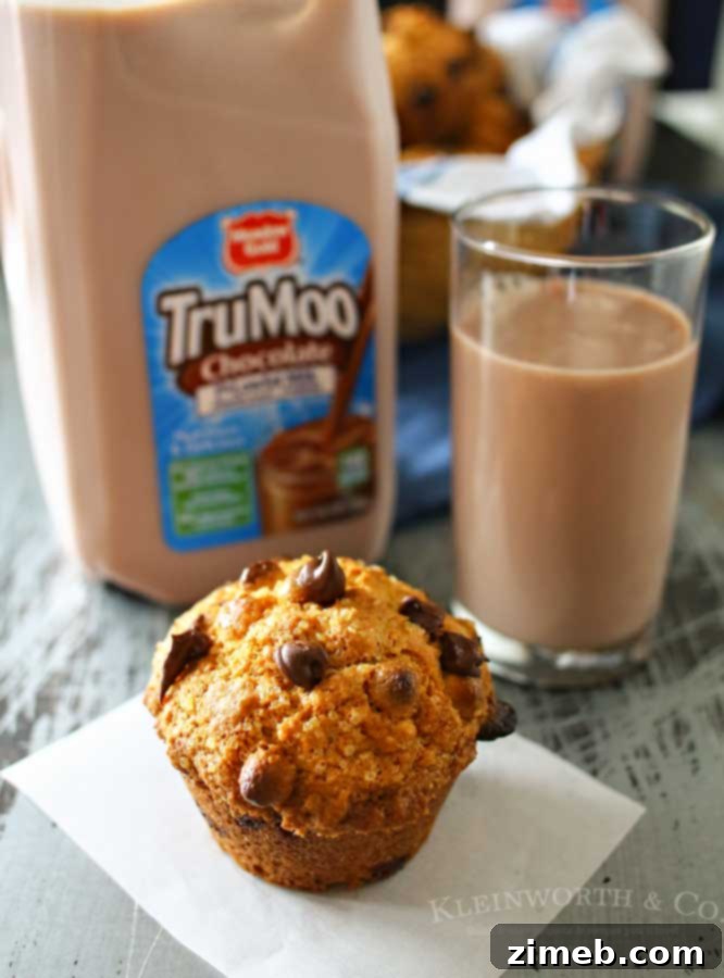 Chocolate Milk Muffins recipe with a tip to achieve perfect muffin domes by baking at high heat then reducing.