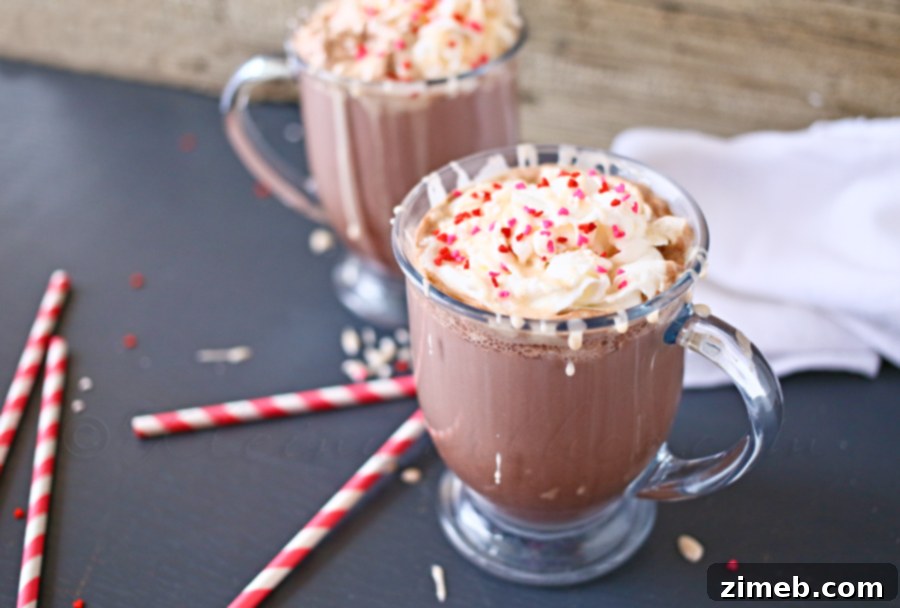 Delicious & Easy Hot Chocolate with TruMoo