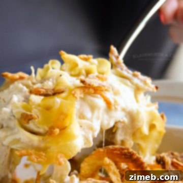 Homestyle Chicken Noodle Bake 12 French Onion Chicken Noodle Casserole recipe