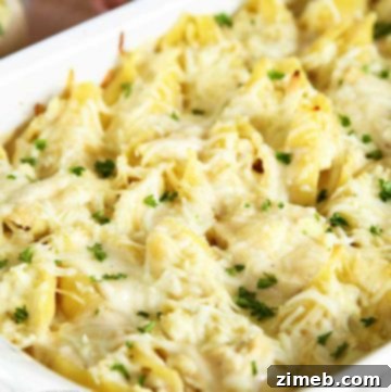 Homestyle Chicken Noodle Bake 7 How to make Chicken Alfredo Stuffed Shells