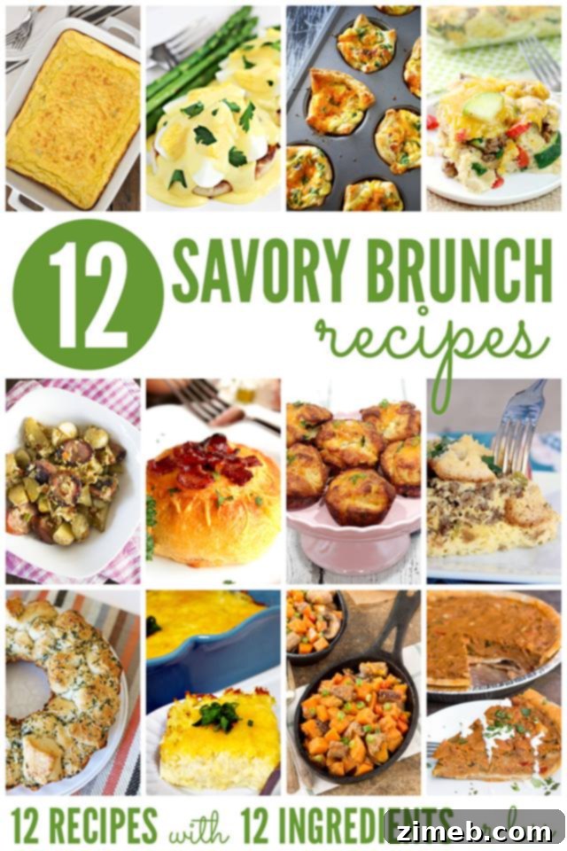 A collage of various savory brunch recipes, including casseroles, scrambles, and other quiches.
