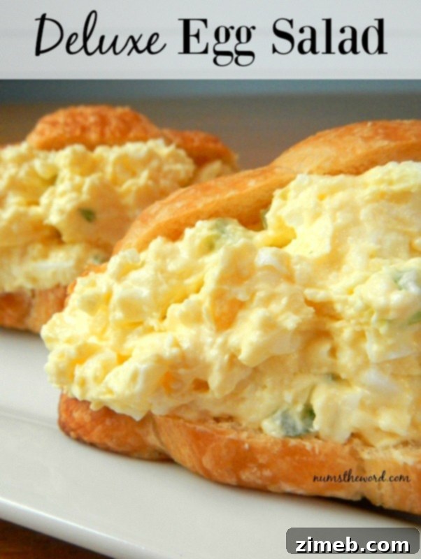 25 Delicious Egg Recipes 5 Creamy Deluxe Egg Salad, a classic sandwich filling, served with fresh greens.
