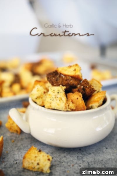 Savory Garlic Cheese Soup Sticks 5 Garlic & Herb Croutons