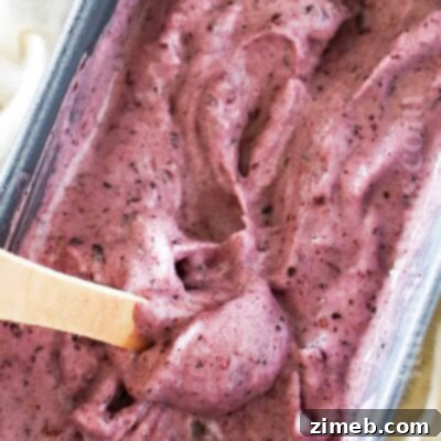 how to make Blueberry Ice Cream