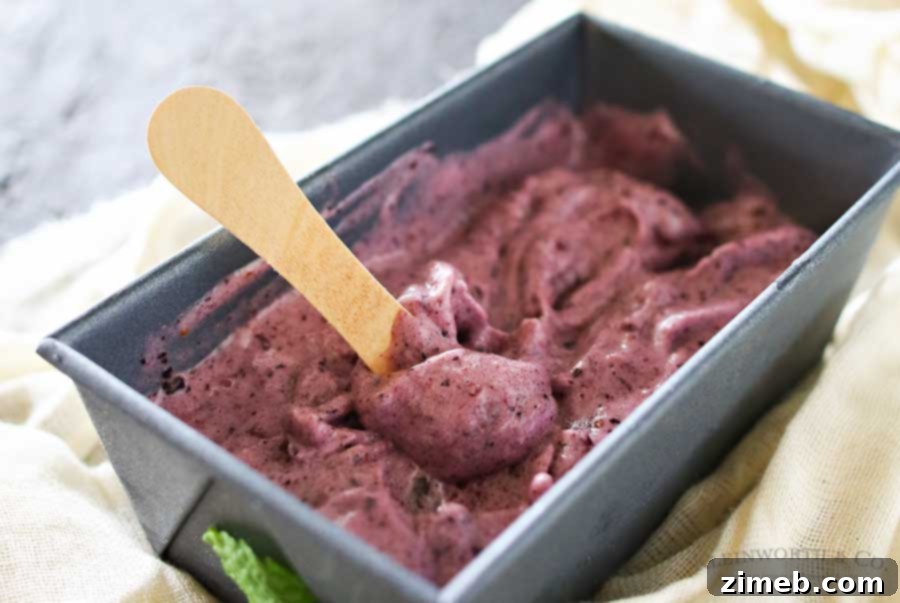 Simple Blueberry Ice Cream is a delicious dairy-free, 3-ingredient recipe with just blueberries, bananas & honey. It takes just a couple minutes & a blender! It's a nutritious dessert that you won't feel guilty about.
