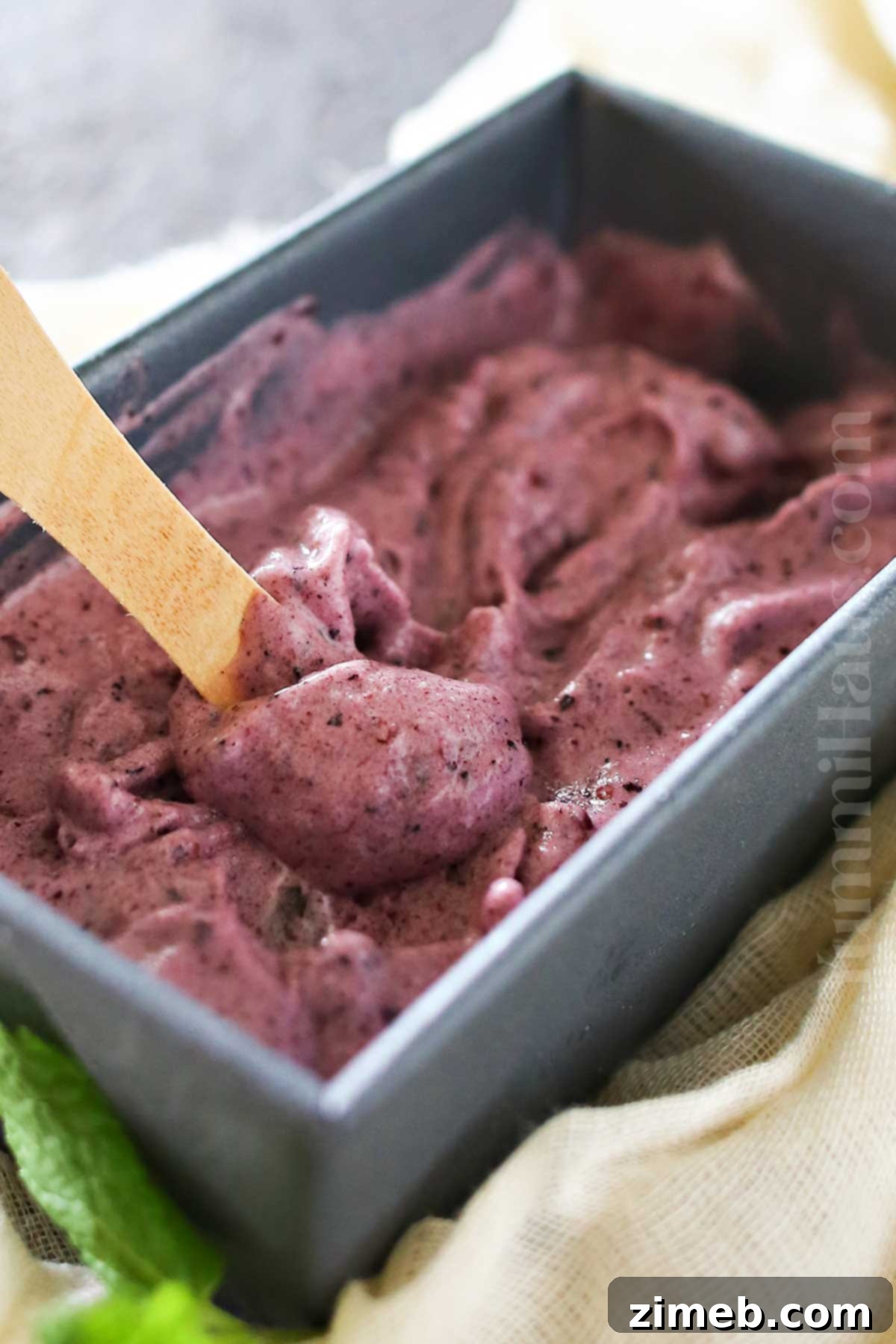 3 ingredient Blueberry Ice Cream