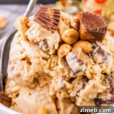 Reese's Peanut Butter Ice Cream