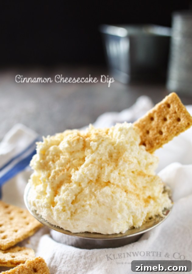 A vibrant close-up of the Cinnamon Cheesecake Dip, highlighting its appealing texture and inviting presentation for an easy dessert.
