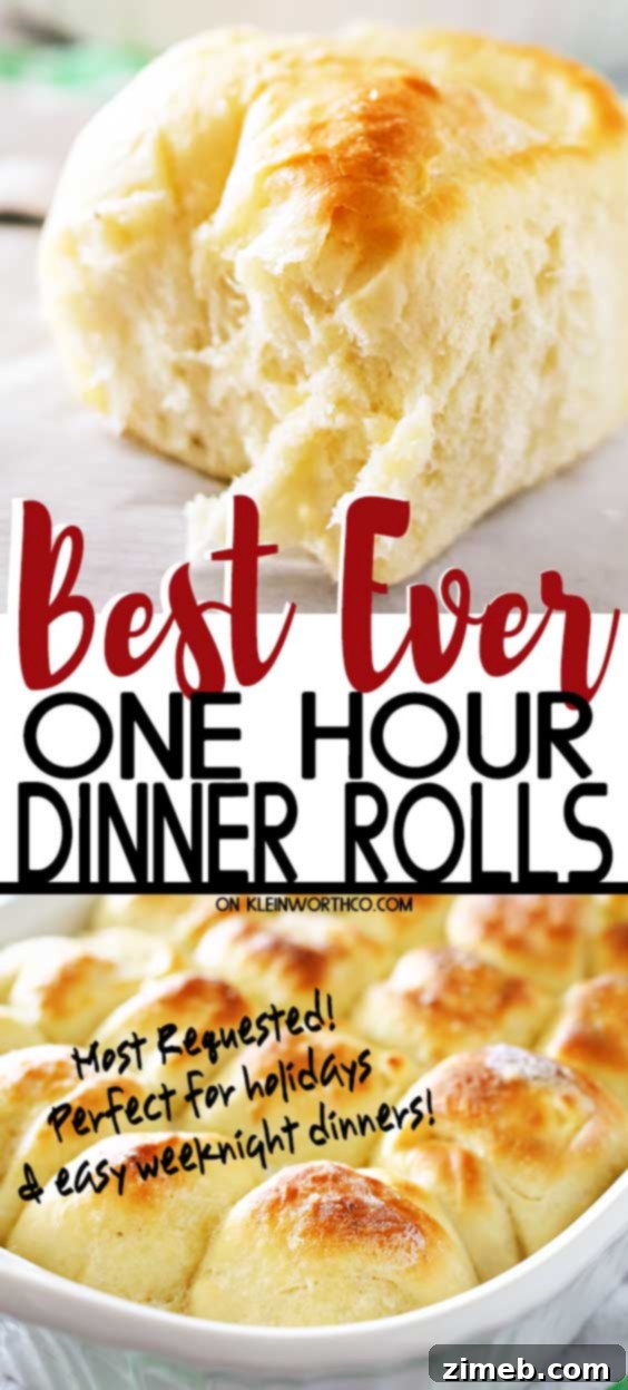 Best Ever One Hour Dinner Rolls - Fluffy, Buttery, Quick Recipe