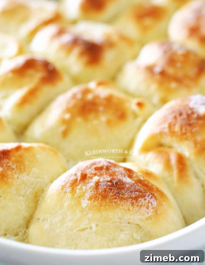 Weeknight One Hour Dinner Rolls - a simple bread recipe