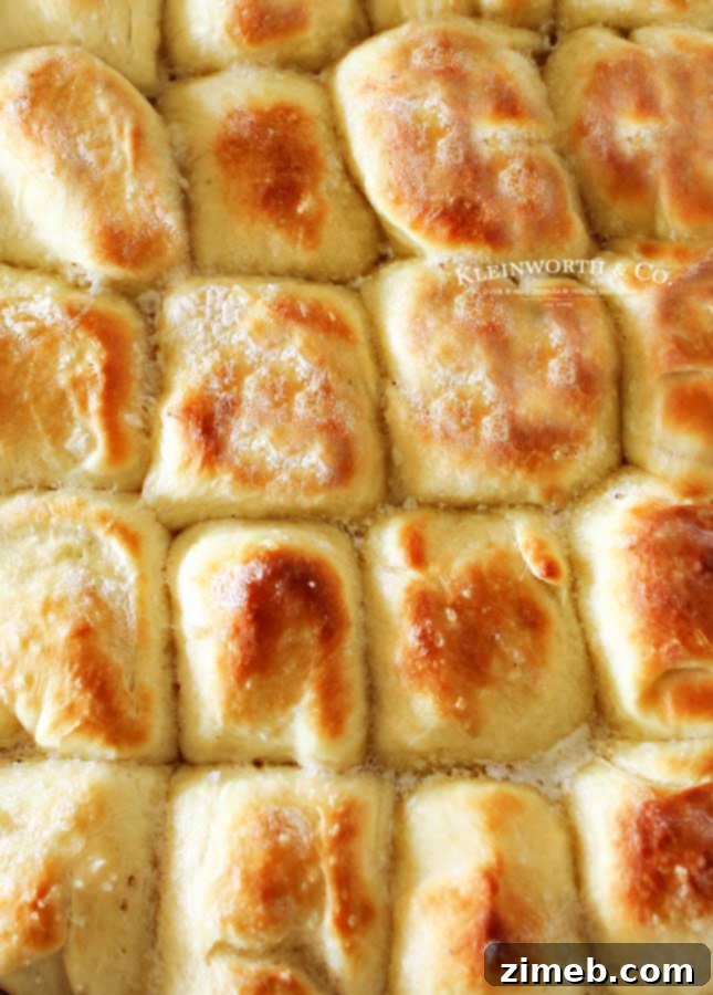 One Hour Dinner Rolls recipe process