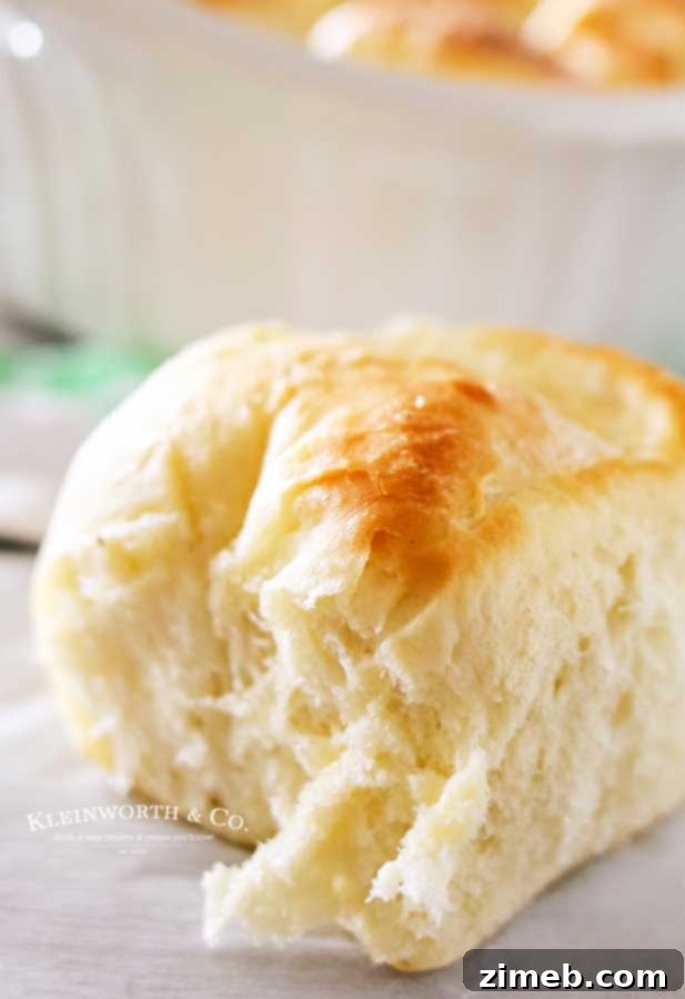 Easy Recipe - One Hour Dinner Rolls, quick bread recipe