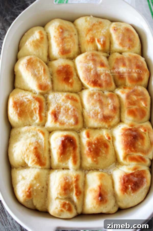 Holiday Rolls - One Hour Dinner Rolls, quick and easy