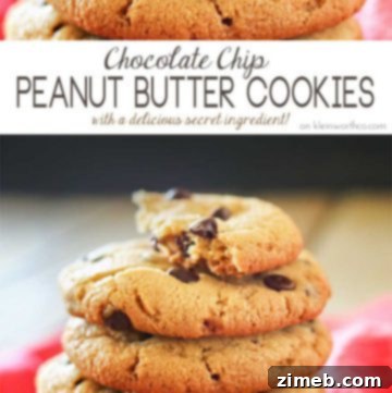 Close-up of baked Chocolate Chip Peanut Butter Cookies, golden brown and studded with chocolate