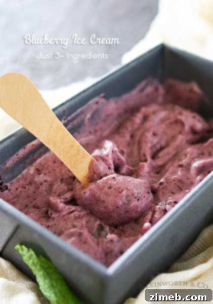 Simple Blueberry Ice Cream, a dairy-free dessert made with just blueberries, bananas, and honey.
