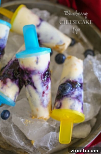 Irresistible Ice Cream Sandwich Pops 8 Blueberry Cheesecake Pops on a stick, garnished with fresh blueberries and a light drizzle.