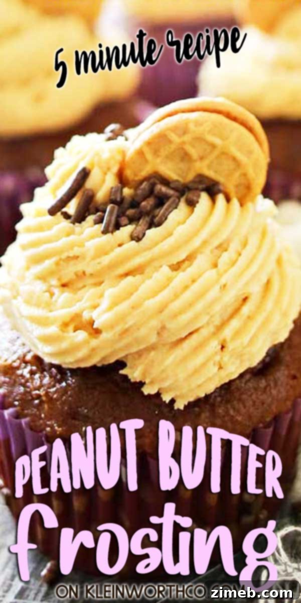 Peanut Butter Chocolate Dream Cupcakes 2 Peanut Butter Frosting