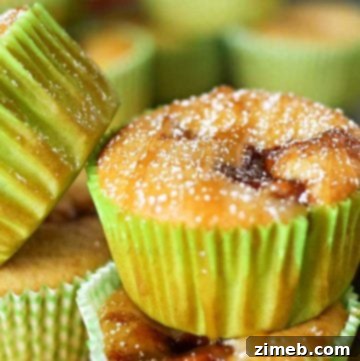 Peanut Butter Chocolate Dream Cupcakes 12 Apple Fritter Cupcakes