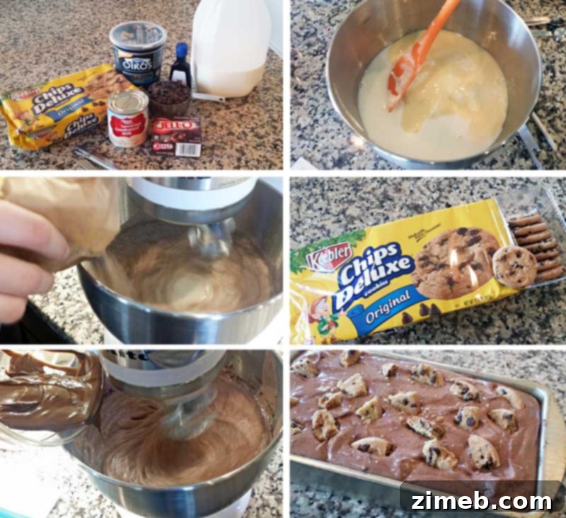 Choc Chip Cookie Fro-Yo Delight 4 Ingredients for Chocolate Chip Cookie Frozen Yogurt laid out on a kitchen counter