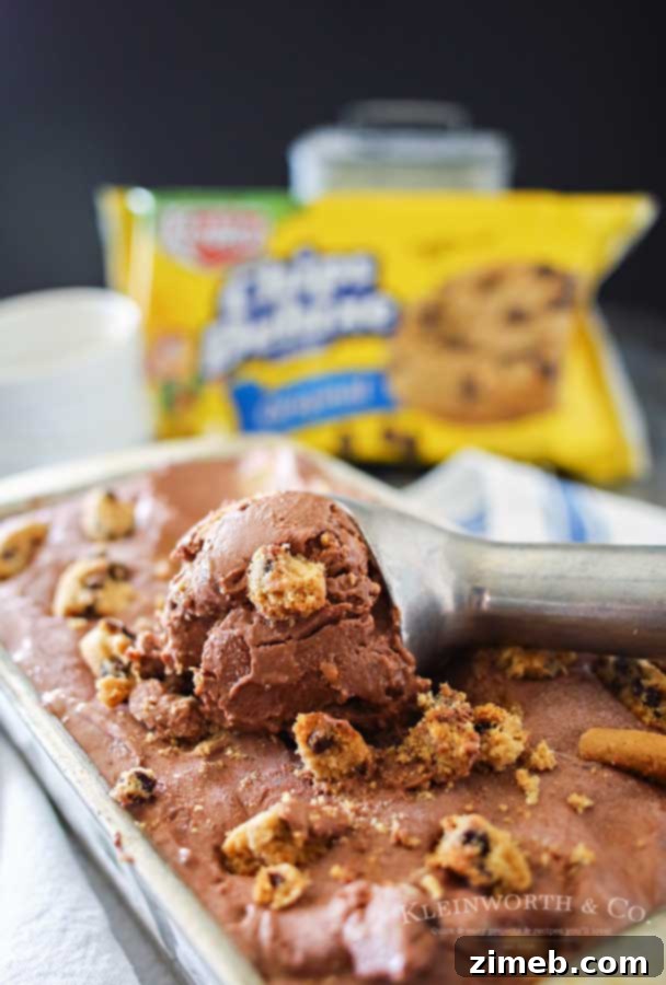 Choc Chip Cookie Fro-Yo Delight 6 Scoops of Chocolate Chip Cookie Frozen Yogurt in a bowl, showing cookie pieces