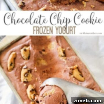 Choc Chip Cookie Fro-Yo Delight 7 Chocolate Chip Cookie Frozen Yogurt recipe card image