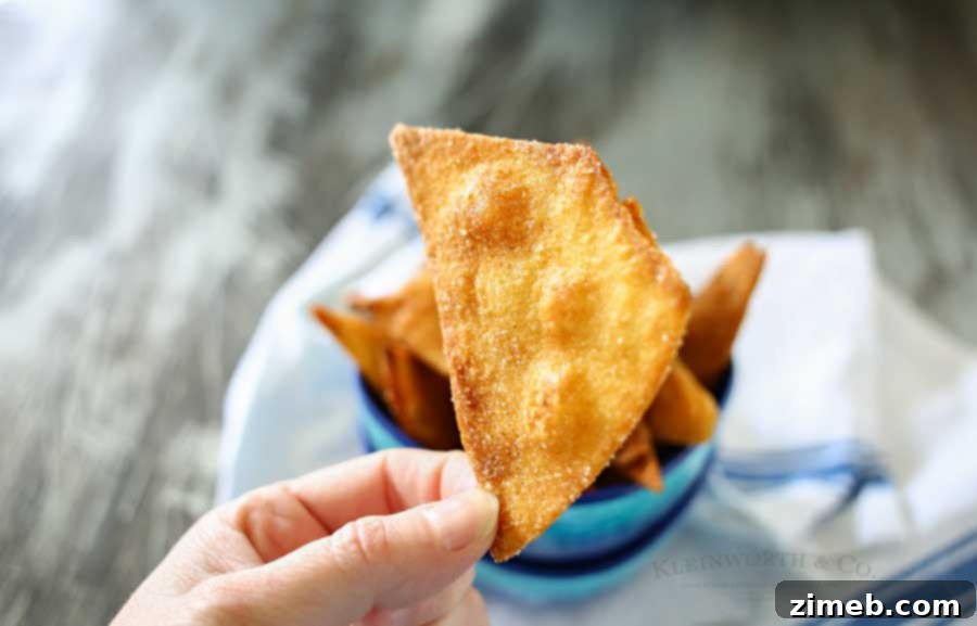 Plate of homemade Salted Cinnamon Sugar Chips ready to be served or dipped.