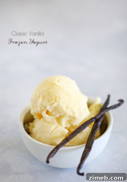 Classic Vanilla Frozen Yogurt - a refreshing frozen dessert recipe.
