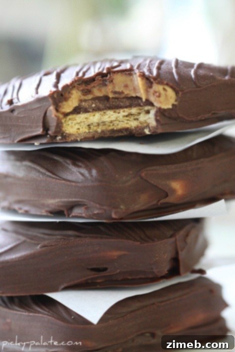 25 Magical Disney Treats 8 Chocolate-Peanut-Butter-Sandwich-3