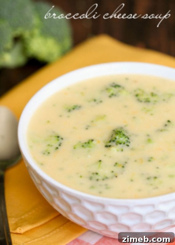 25 Magical Disney Treats 24 broccoli-cheese-soup-1